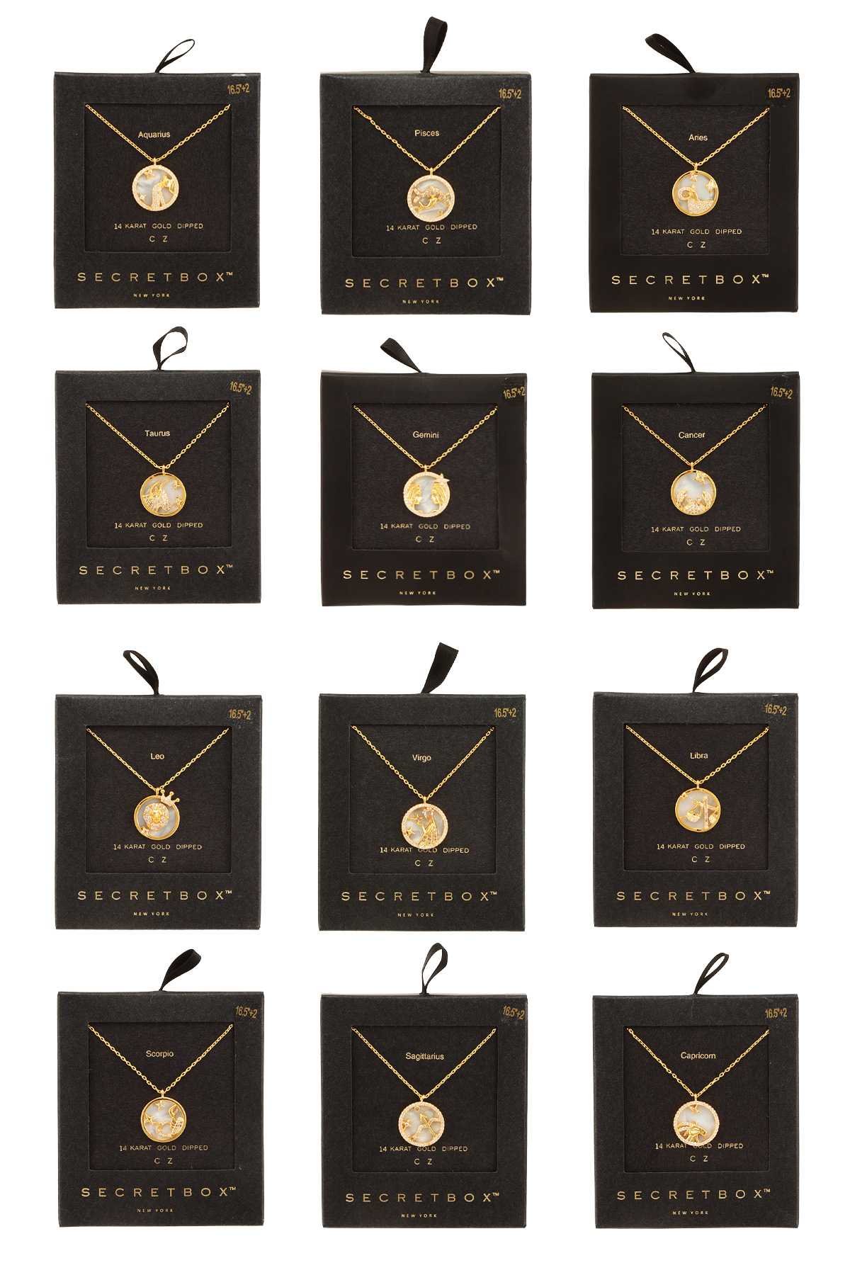 Gold Dipped Horoscope Necklace