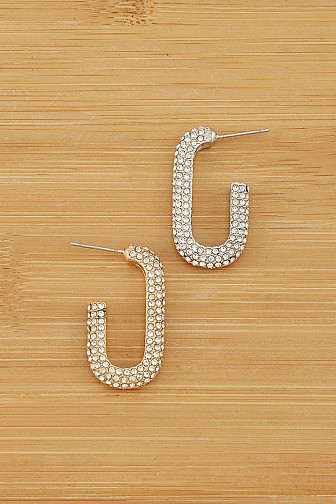 PAVE ENCRUSTED HOOP EARRING